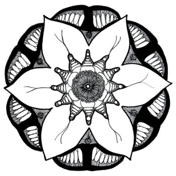 Mandala Artdànima
