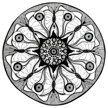 Mandala Artdànima