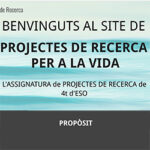 projectes