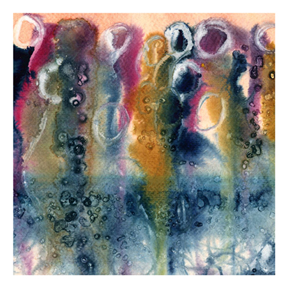 11.Inconscient Col·lectiu Petita