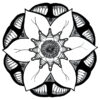 Mandala Artdànima